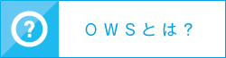 OWSとは