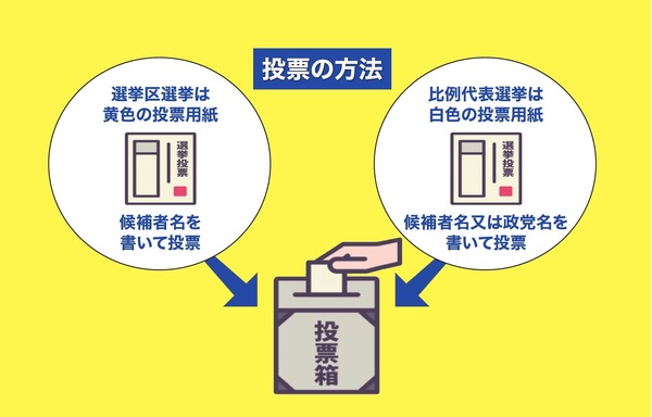 投票の方法