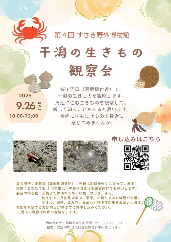 チラシ
