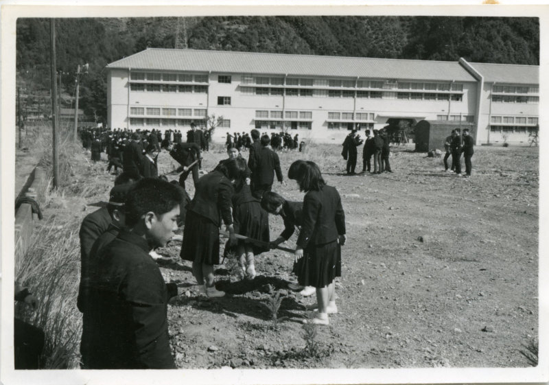 須崎高等学校卒業生スギ苗300本記念植樹の写真