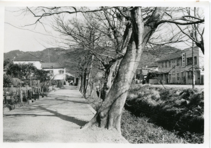 堀川の写真