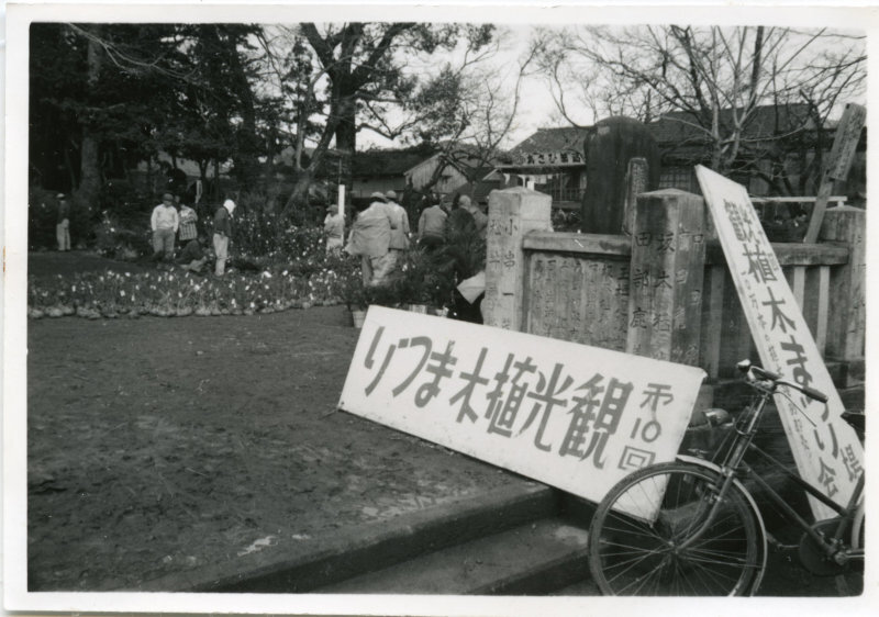 第10回観光植木まつりの写真