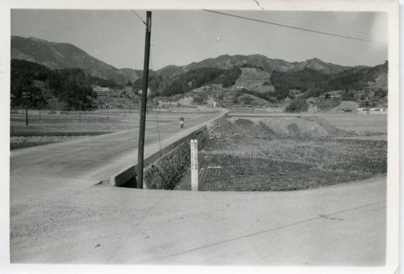 西崎の国道県道分岐点の写真