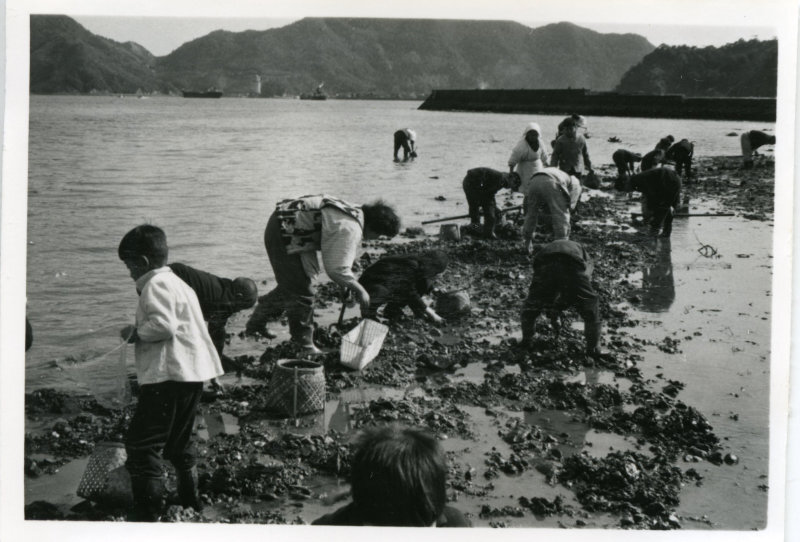 多ノ郷御手洗川潮干狩りの写真