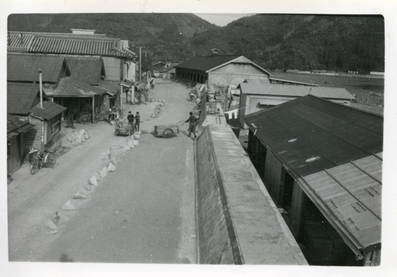 須崎海岸通り舗装完成の写真