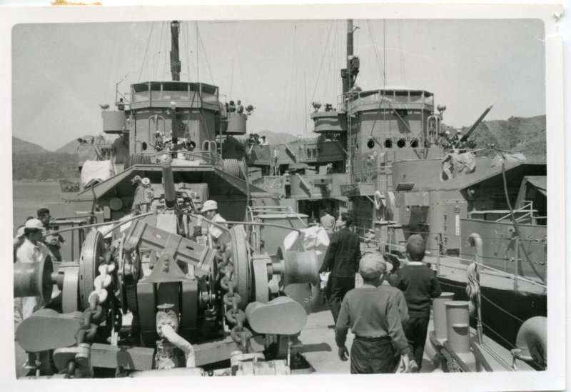 自衛艦くす・さくら入港の写真