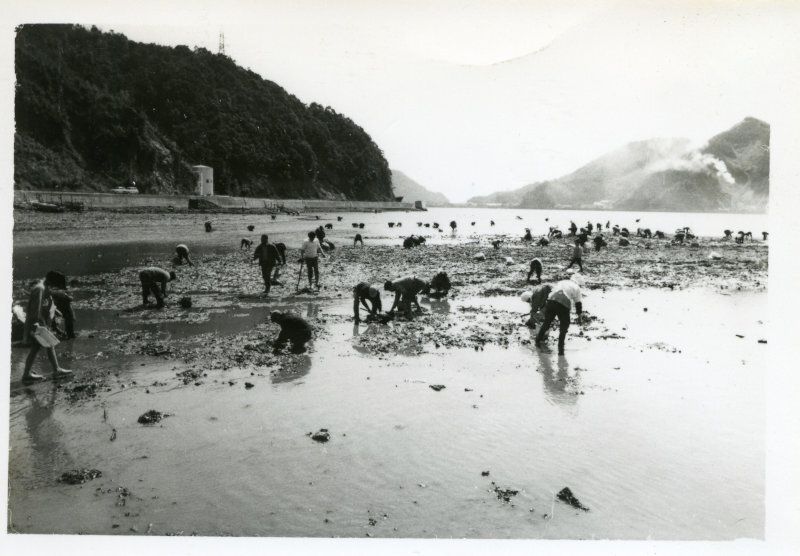 大峰海岸潮干狩りの写真