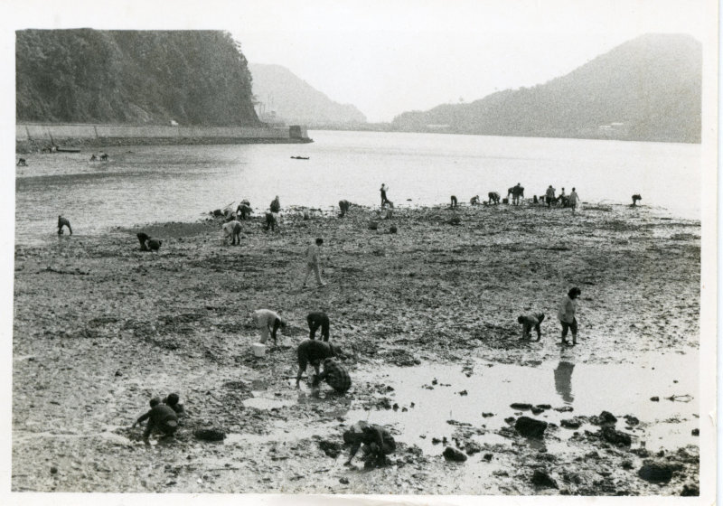 大峰海岸潮干狩りの写真