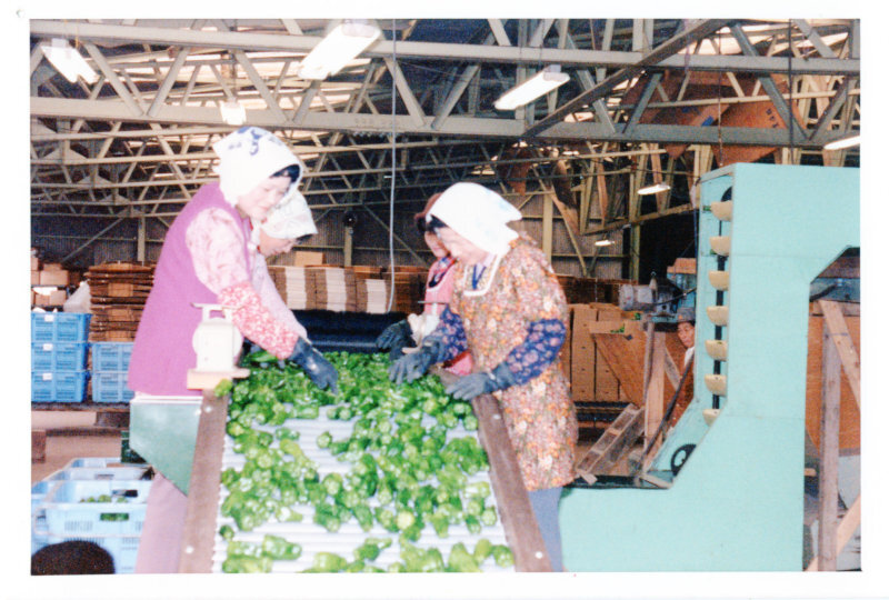 集荷の写真