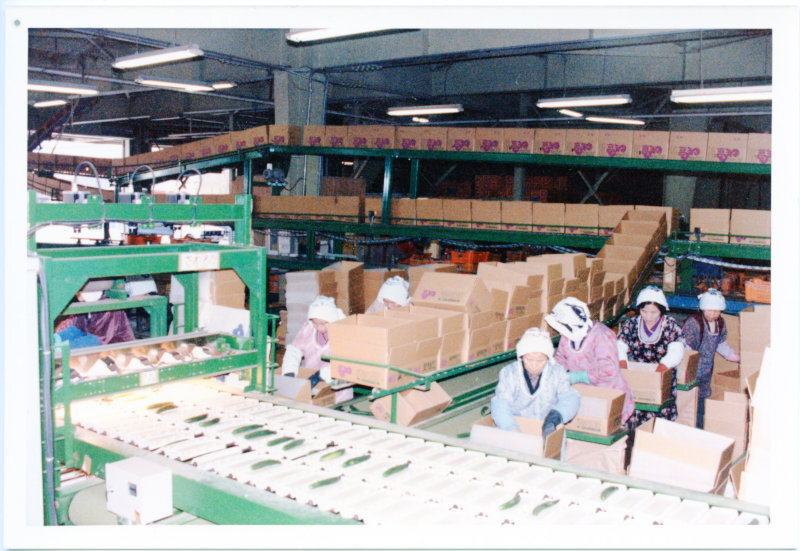集荷の写真