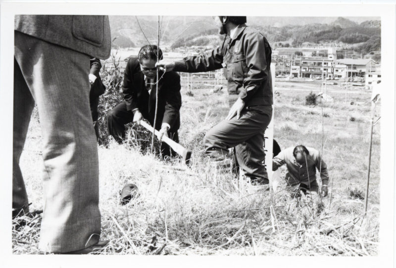 緑化行事記念植樹の写真