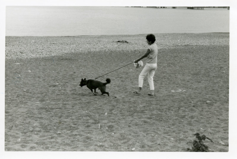 犬には愛情と責任をもっての写真