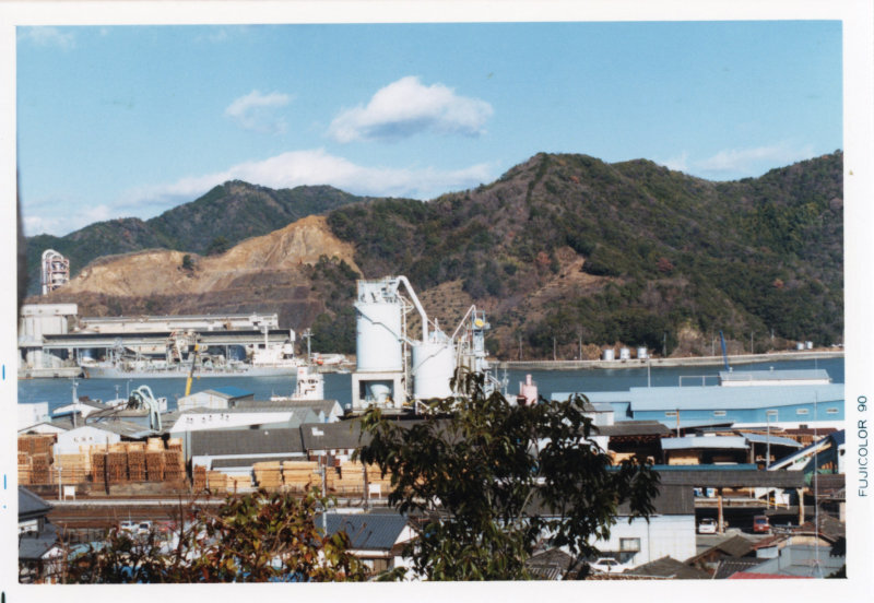 城山から望む須崎湾の写真