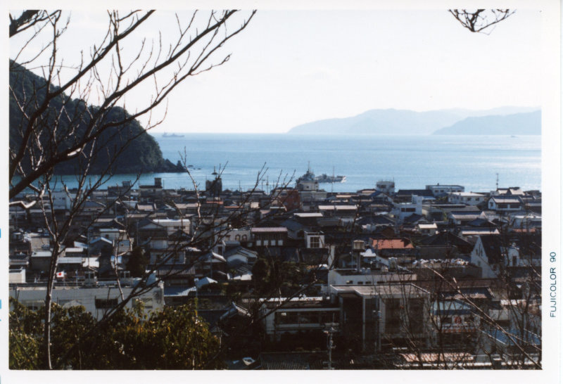 城山から望む須崎湾の写真
