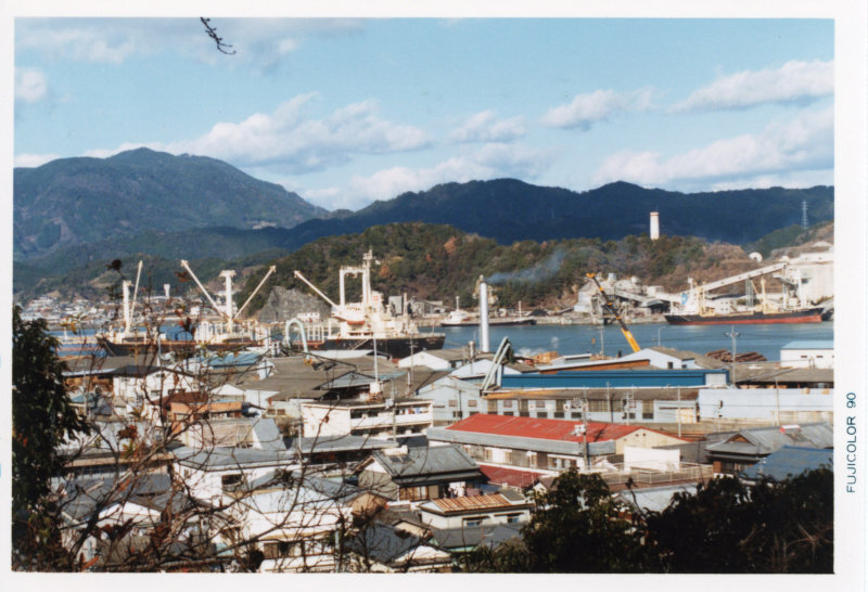 城山から望む須崎湾の写真