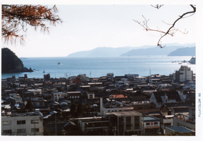 城山から望む須崎湾の写真