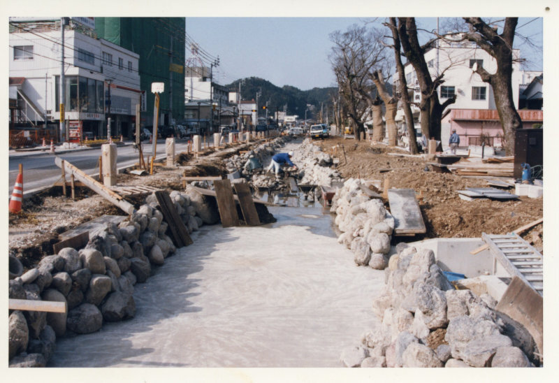 川端シンボルロードの写真