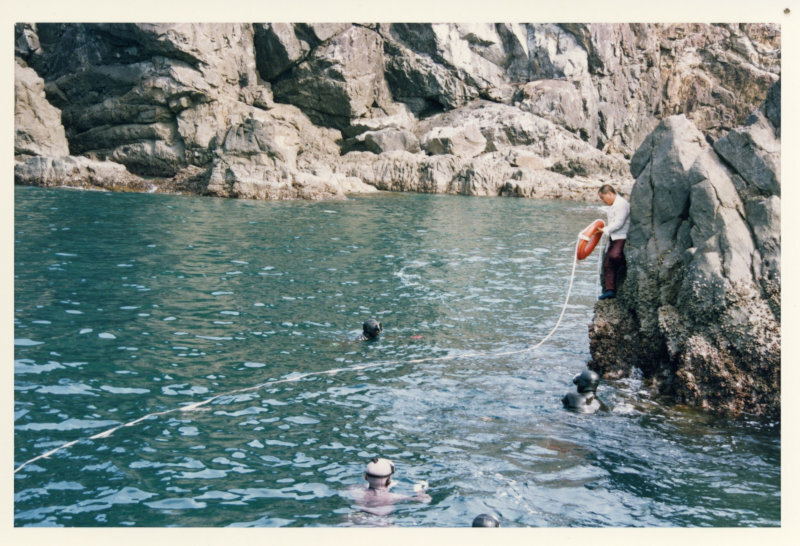 海難救助訓練[13622]：須崎市デジタルフォトアーカイブ