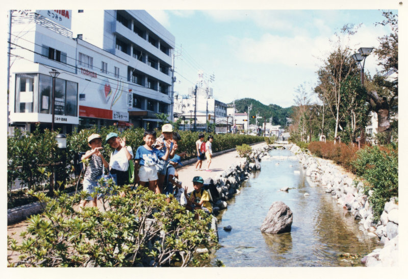 川端シンボルロードの写真