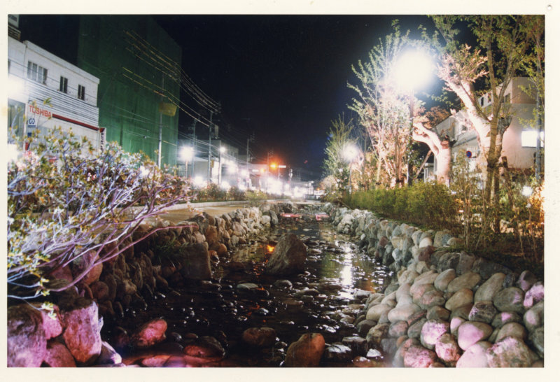 川端シンボルロードの写真