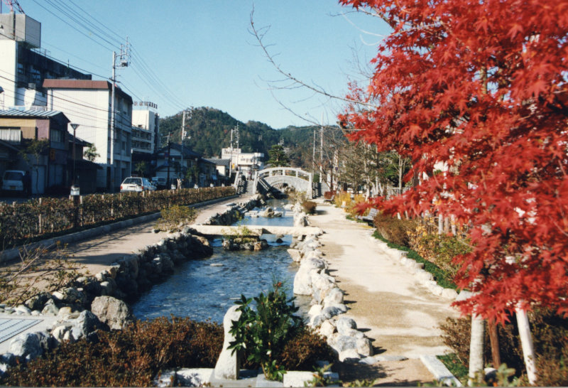 川端シンボルロードの写真