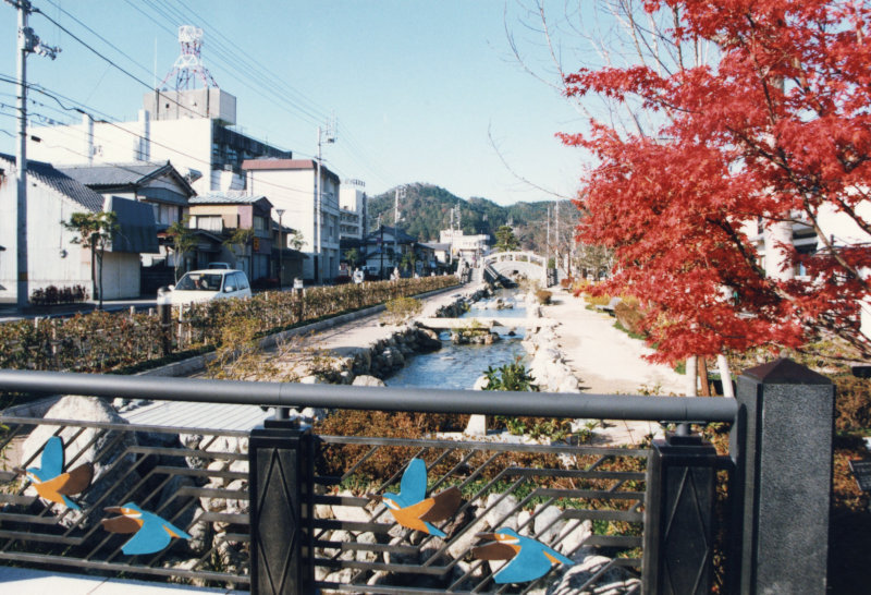 川端シンボルロードの写真