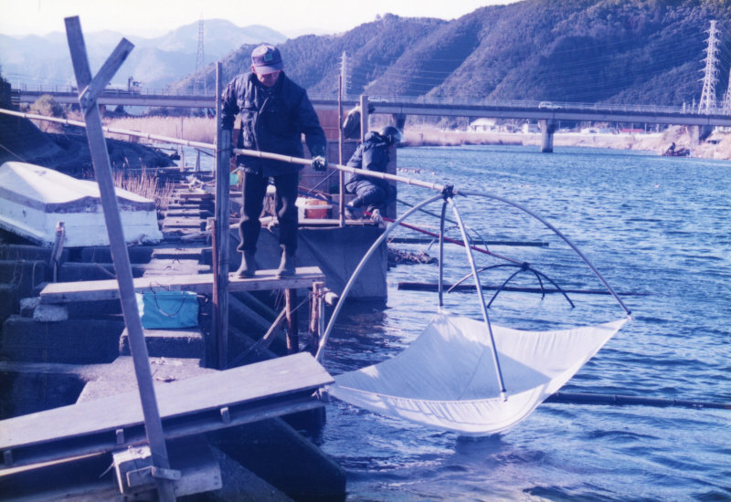 白魚採りの写真