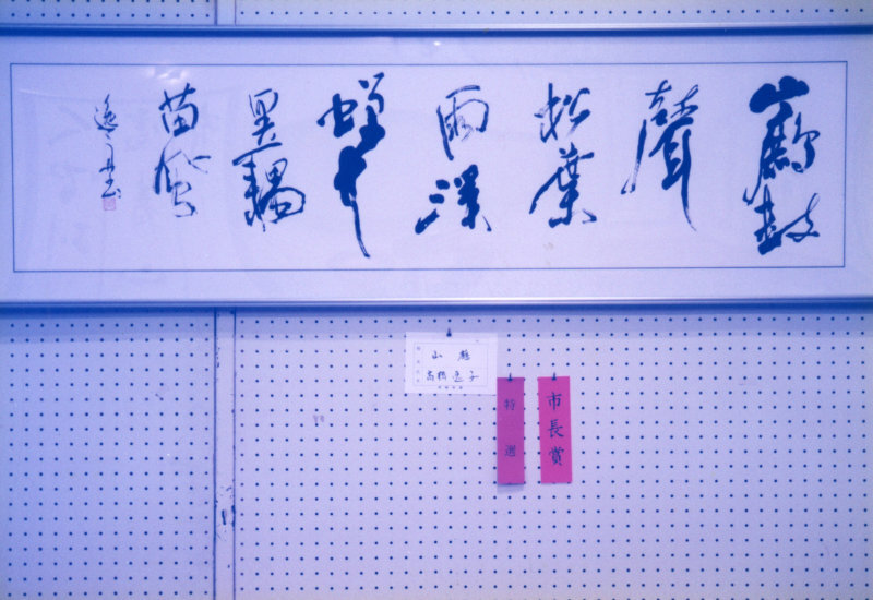 須崎市展の写真