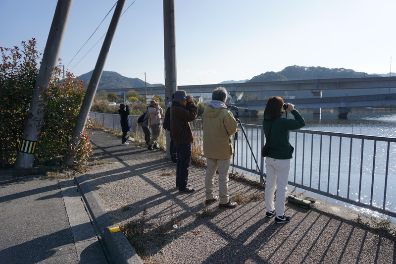野外博物館カモの休み場の写真