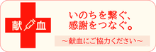 献血の日程